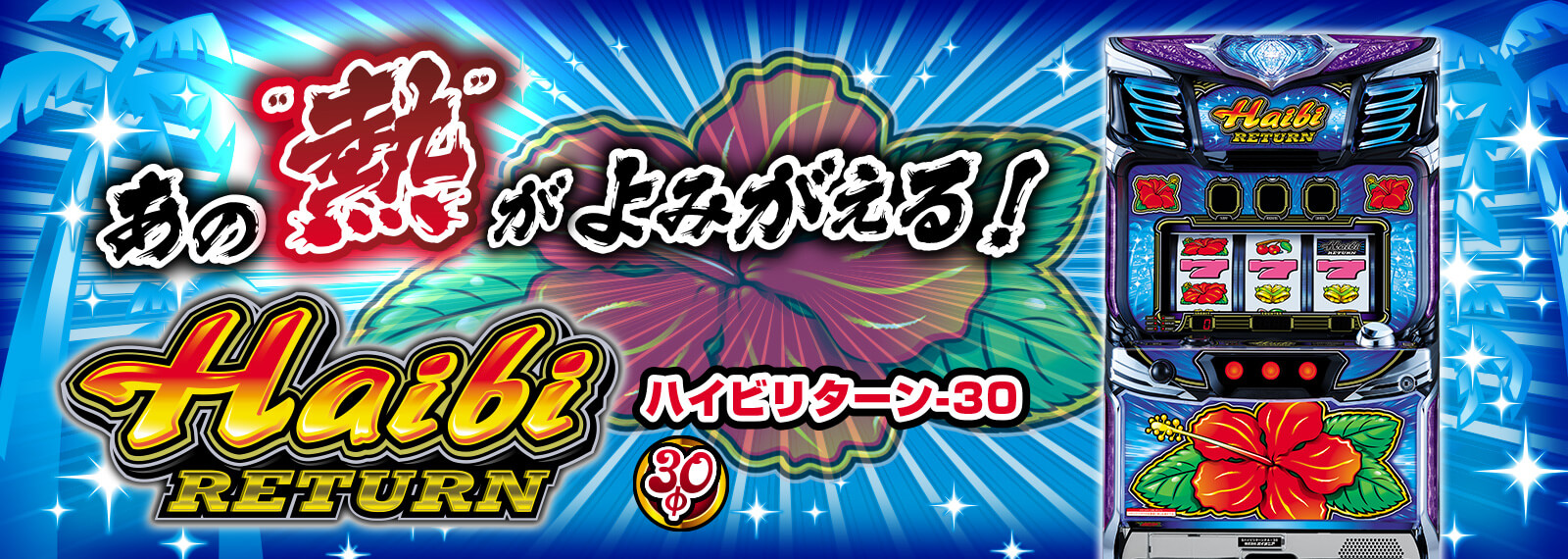 ハイビリターン-30