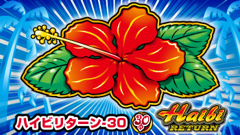 ハイビリターン-30