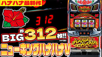 ハイビリターン-30