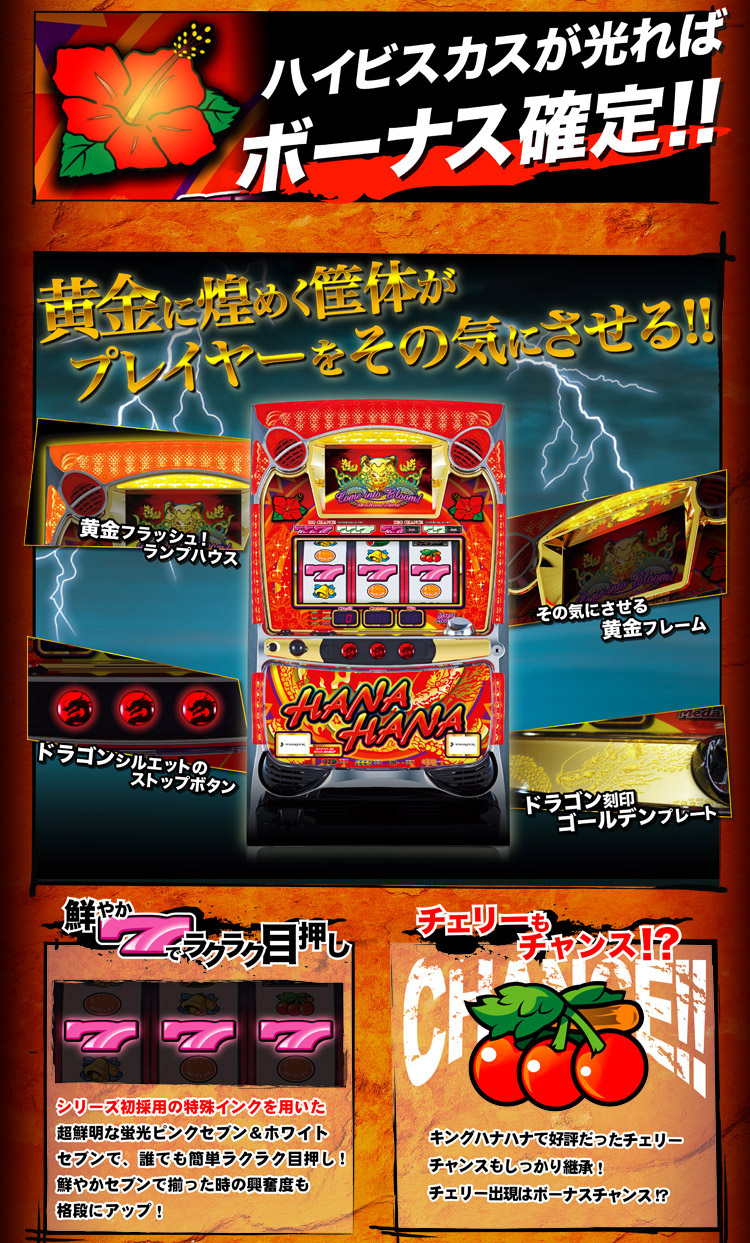 ドラゴンハナハナ-30｜公式サイト