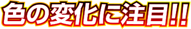 色の変化に注目！！