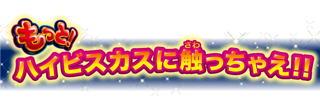 もっと！ハイビスカスに触っちゃえ！