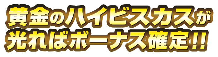 ハイビスカスが光ればボーナス確定！！