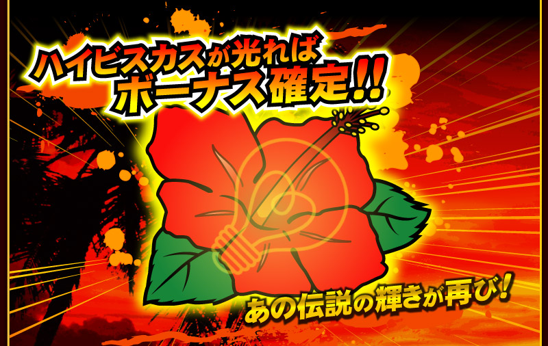 ハイビスカスが光ればボーナス確定！！あの伝説の輝きが再び！