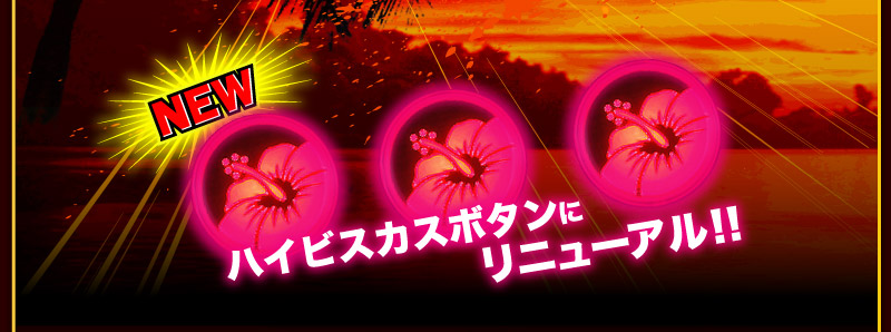 ハイビスカスボタンにリニューアル！！