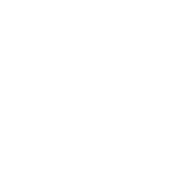 基本情報