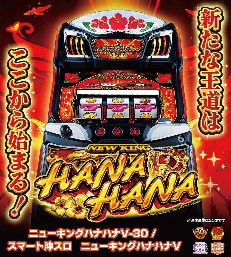 ニューキングハナハナV