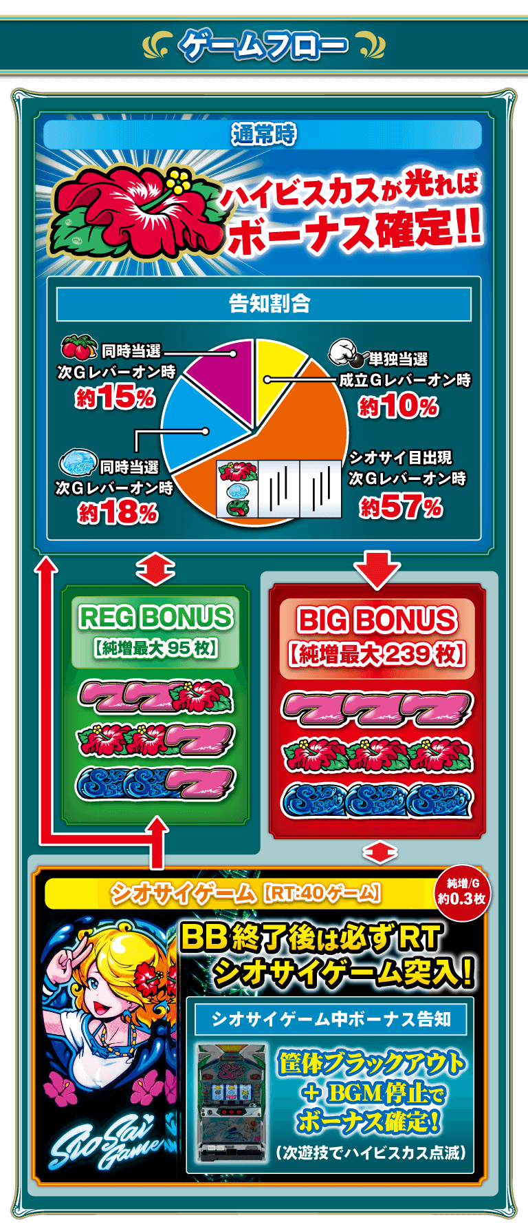 基本情報